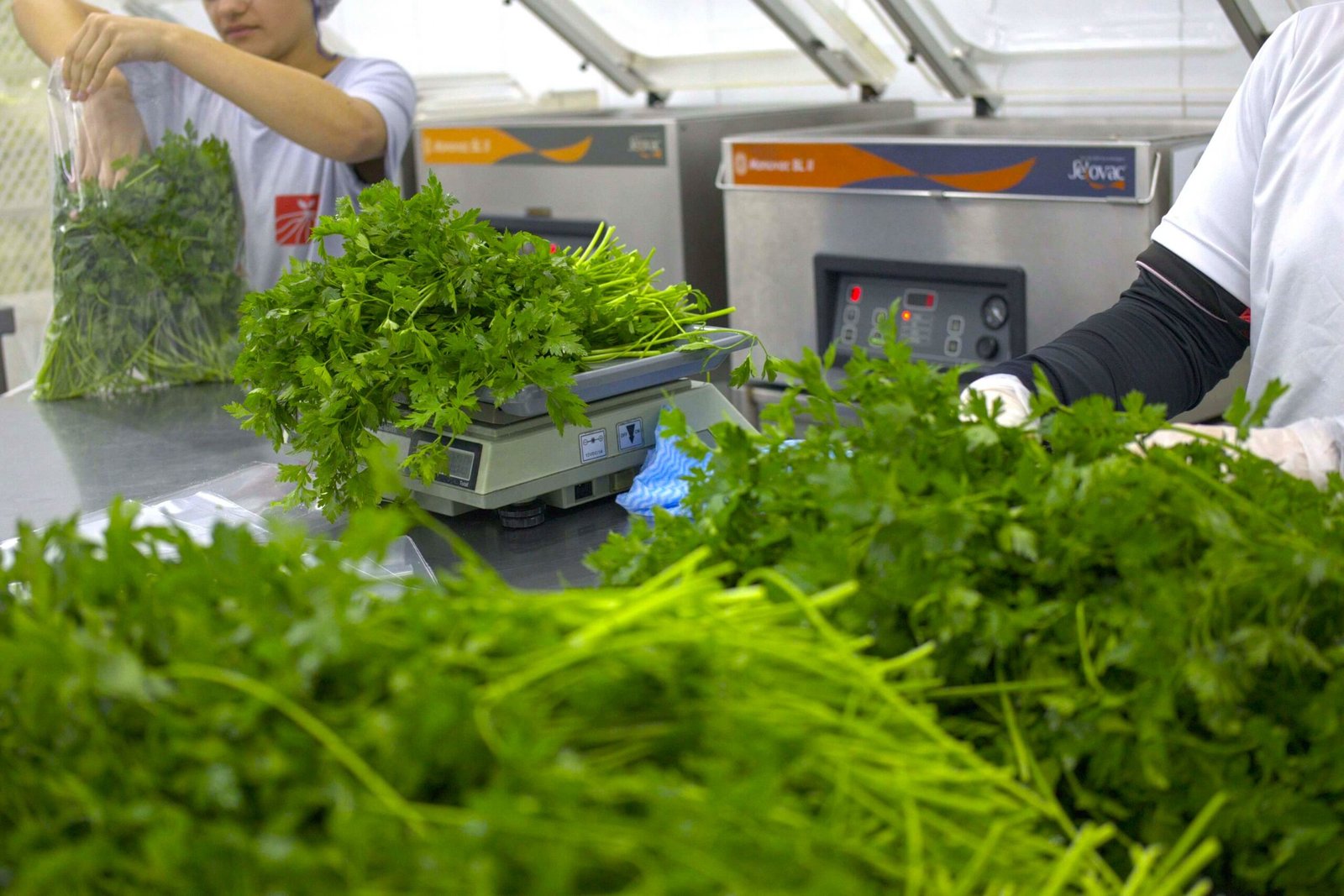 Verduras higienizadas em uma balança digital